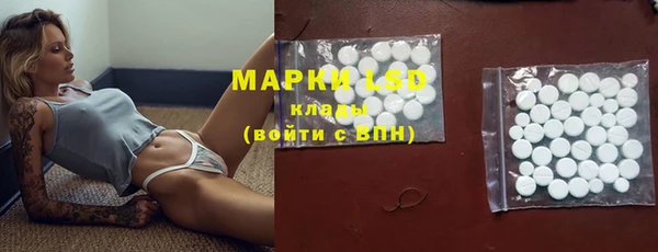 дмт Белокуриха