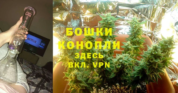 дмт Белокуриха