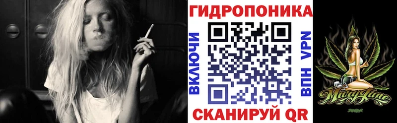 Канабис AK-47  маркетплейс официальный сайт  Сковородино 